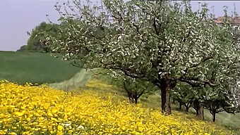 فیلم کامل دختران نوجوان که تمایلات جنسی خود را بررسی می کنند