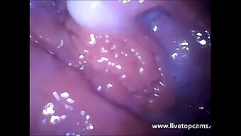 Secretfriends.Com Presents An Intimate View Of A Girl'S Orgasm From Inside Her Vagina