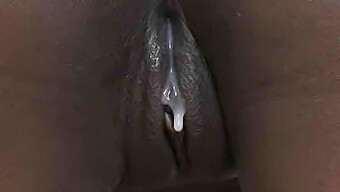 Black Teen Gets Cummed Inside By Big Black Cock