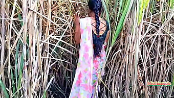 Young Indian Couple Gets Naughty In A Sugarcane Field