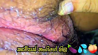 Chica De Sri Lanka Se Pone Traviesa En El Campus En Video Hd