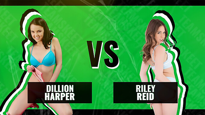 Riley Reid และ Dillion Harper ไปเผชิญหน้ากันในท่าคาวเกิร์ลร้อนและการต่อสู้ด้วยปาก