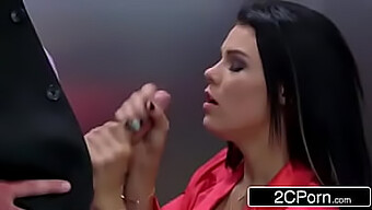 Peta Jensen V Zzs - Sinná Rozkoš